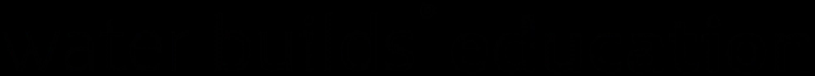 Water Builds Education