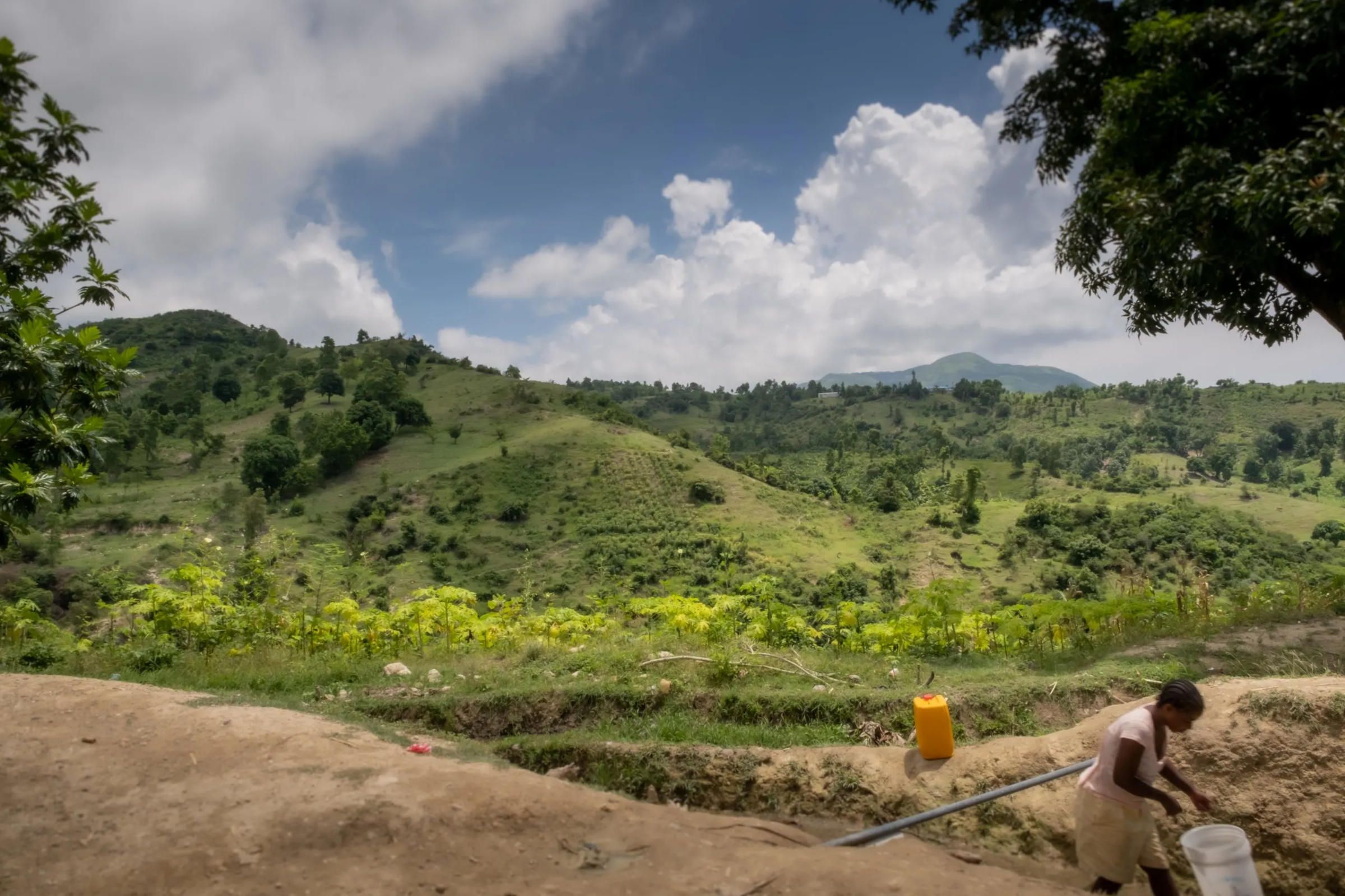 Woman gathering water